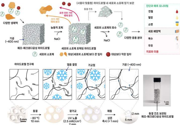 화면 캡처 2025-11-19 101819.png